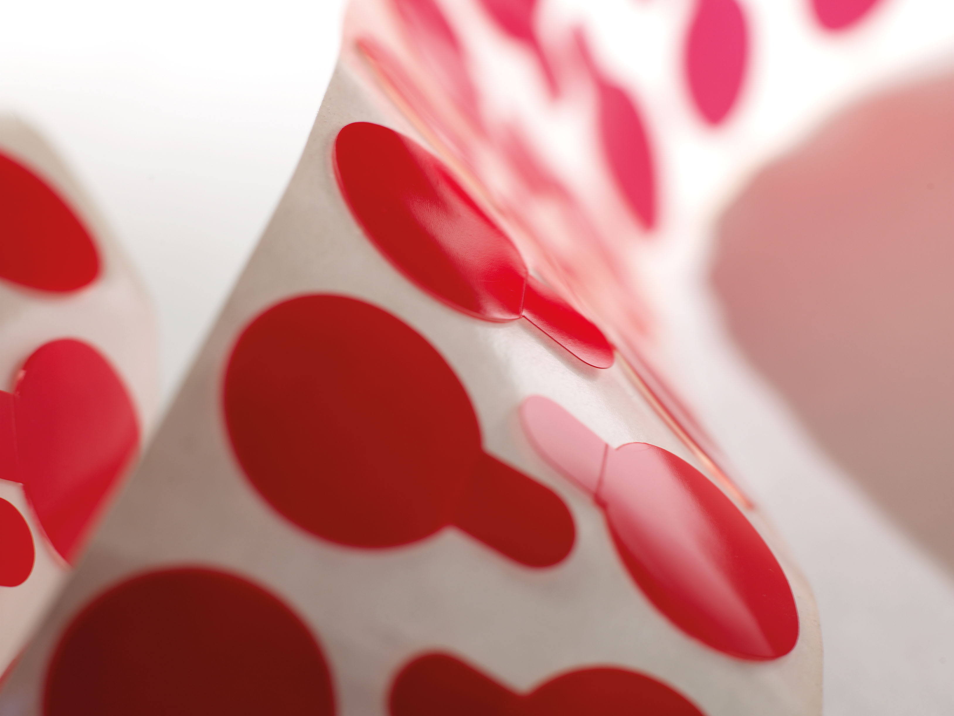 Tecman Productshot 004